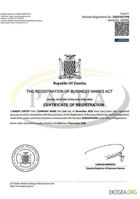 Certificat d'enregistrement de nom commercial en Zambie Modèle Word et PDF